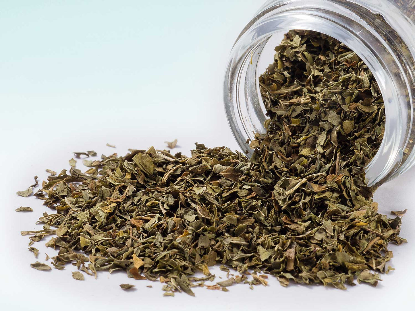 Catmint 20 g