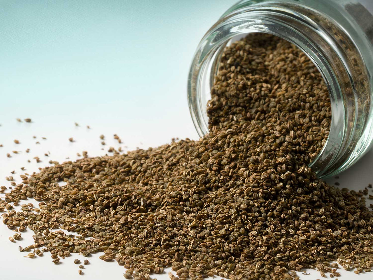 Zelerové semienka 50 g