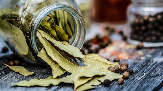 Vôňa domova: Ako použiť bobkový list na prírodnú aromatizáciu