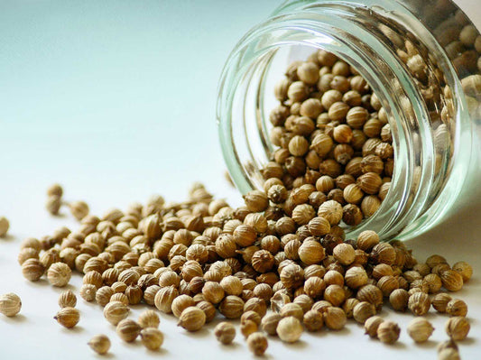 Semená koriandra 30 g