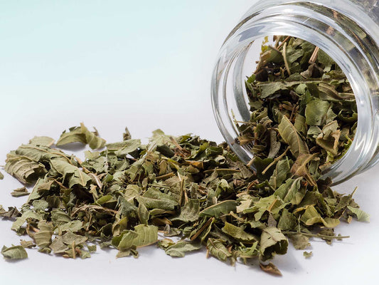 Verbena citrónová 10 g